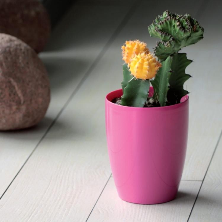 Doniczka do storczyków COUBI DUOW130