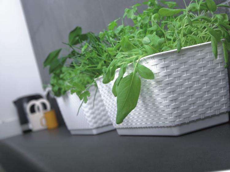 Doniczka podłużna DRL400P z podstawką