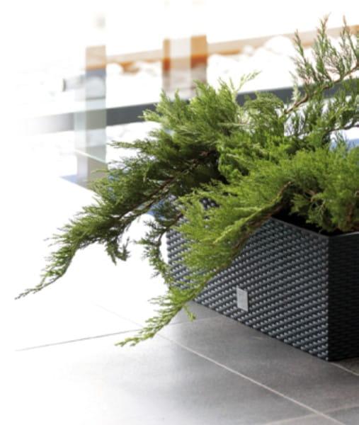 Doniczka rattanowa RATO Case DRTC600