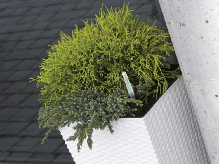 Doniczka samonawadniająca RATO DRTS265S