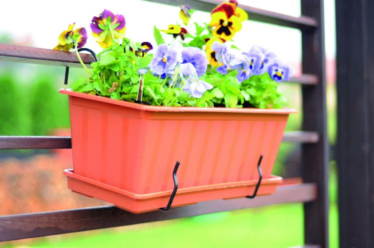 agrohang_IS6CAN_aranz 02.jpg