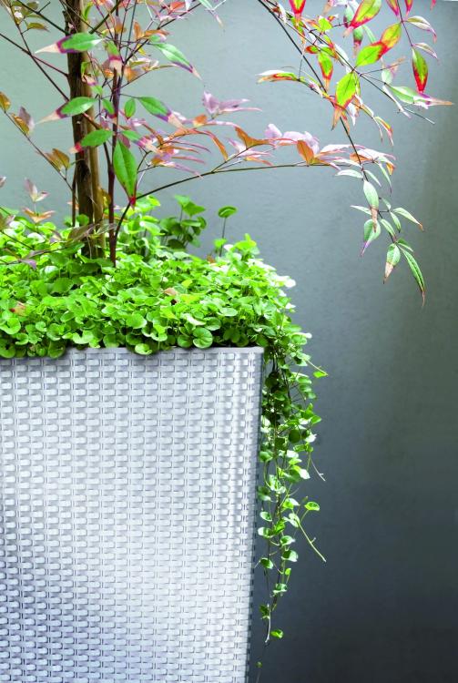 Doniczka RATO wysoka DRTS300 z wkładem