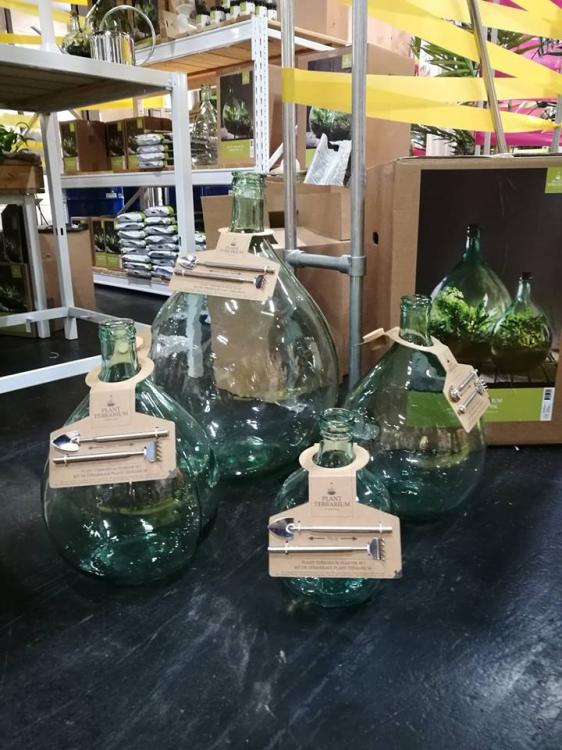 Terrarium 35L (M)_b.jpg