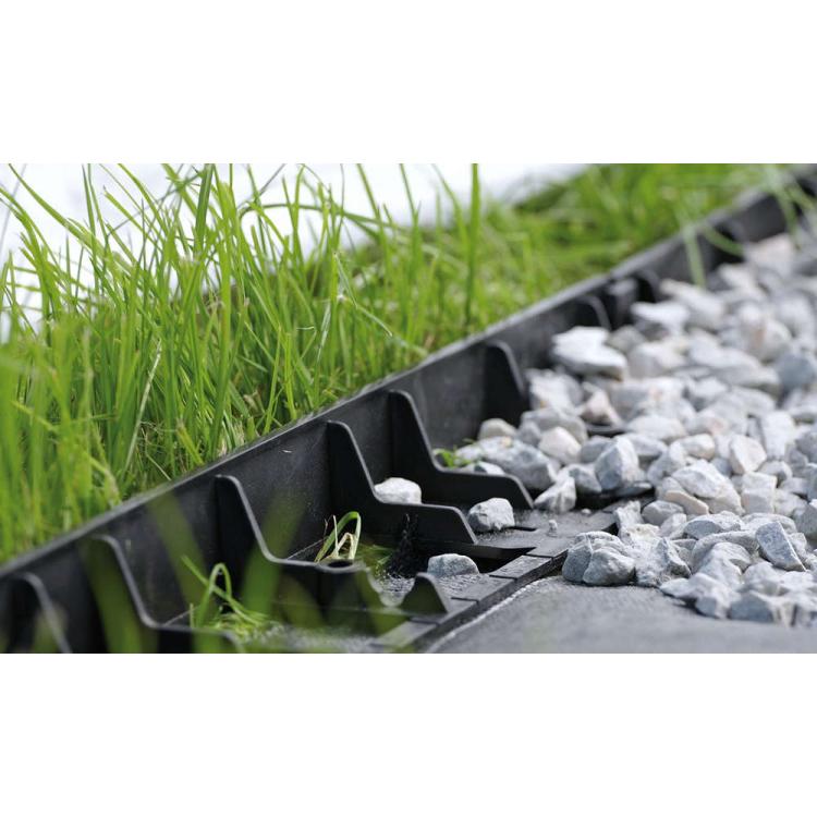 Border IBO645 aranz2.jpg