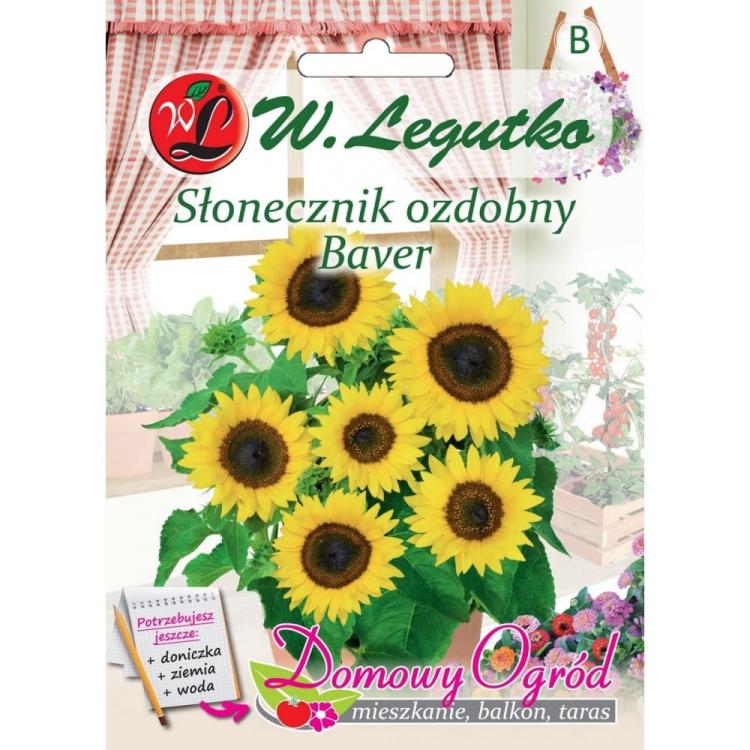Słoneczki ozdobny Baver przód.jpg