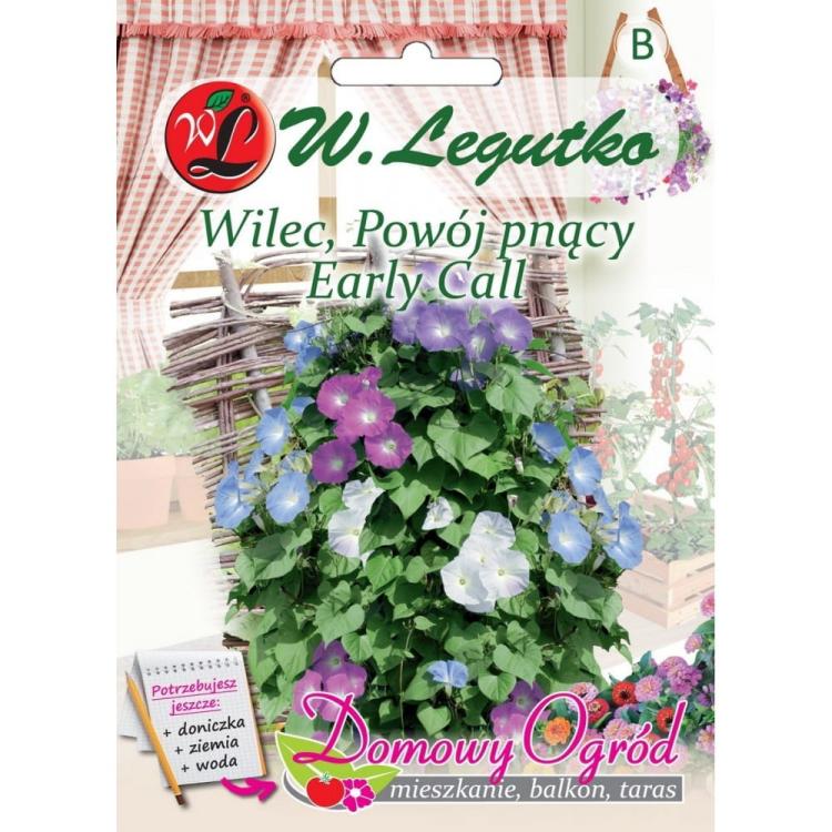 Kwiat pnący Early Call przód.jpg