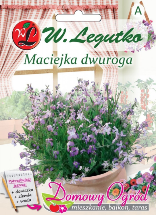 Nasiona Maciejka dwuroga różowolawendowa, 2g