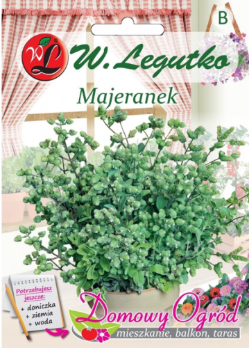 Domowy ogród majeranek przód.png