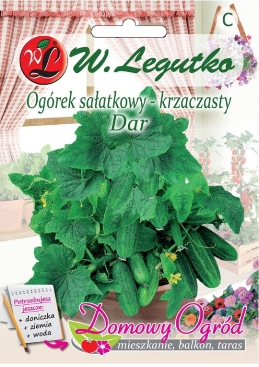 Domowy ogród ogórek przód.png