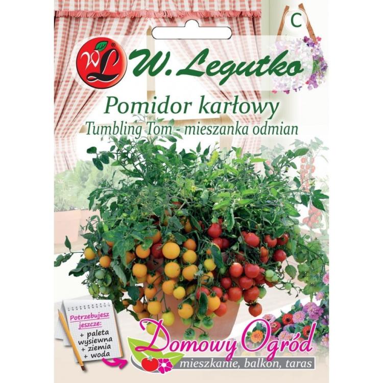 Pomidor karłowy przód.jpg