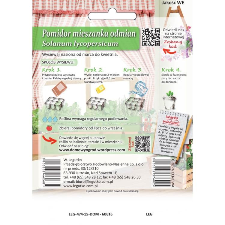 Pomidor karłowy tył.jpg