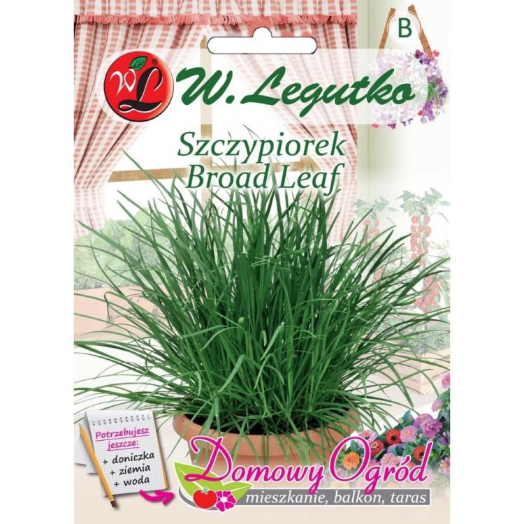 Szczypiorek Broad Leaf przód.jpg