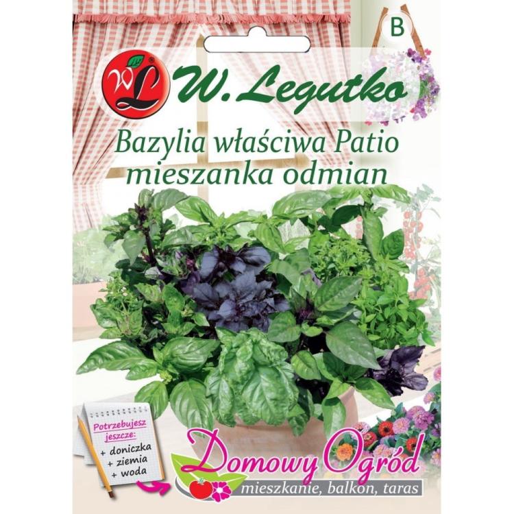 Bazylia mieszanka odmian Patio przód.jpg
