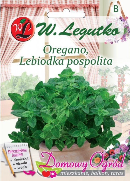 Domowy ogród oregano przód.png