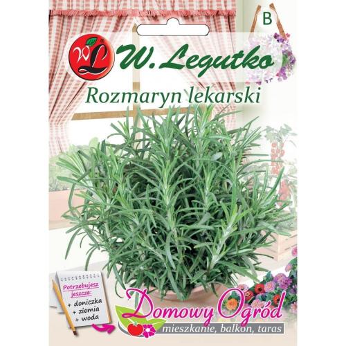 Rozmaryn lekarski przód.jpg