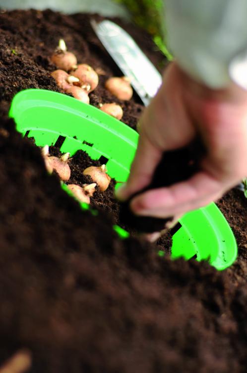 Koszyk na cebulki ONION 21,5 cm