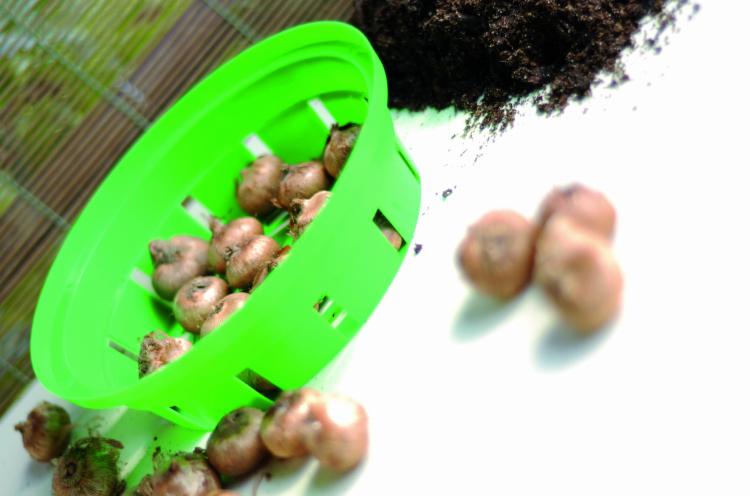 Koszyk na cebulki ONION 21,5 cm