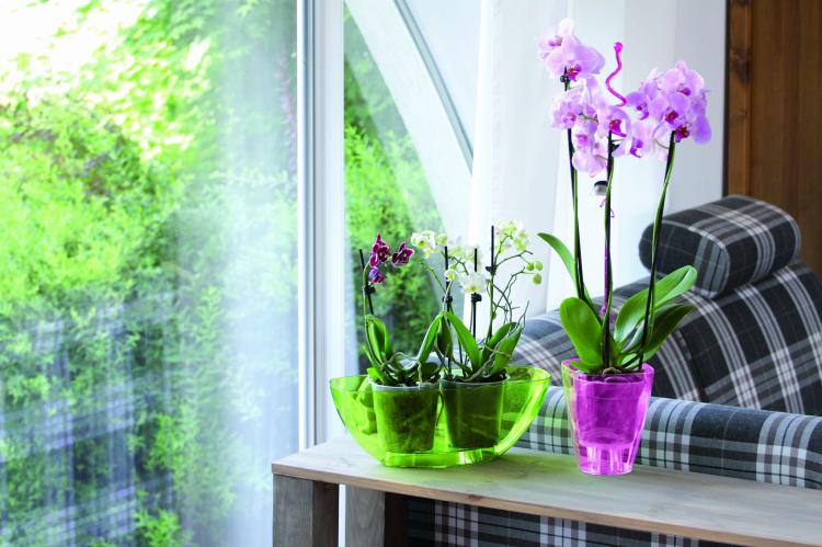 coubi_DUMS_DUKOP_aranz 02.jpg