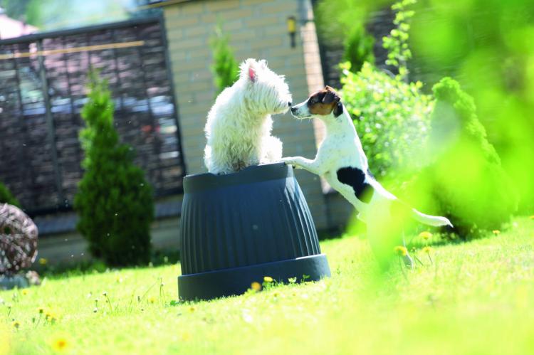 Doniczka klasyczna Terra DCE25