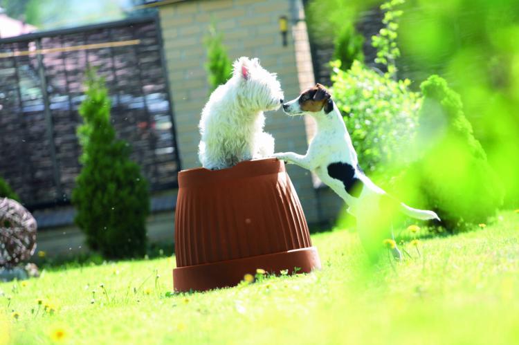 Doniczka klasyczna Terra DCE50