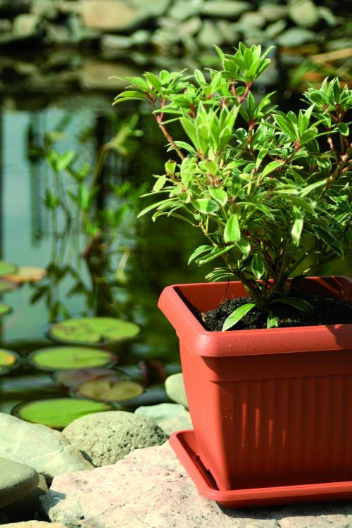 Doniczka kwadratowa Terra DKWT30