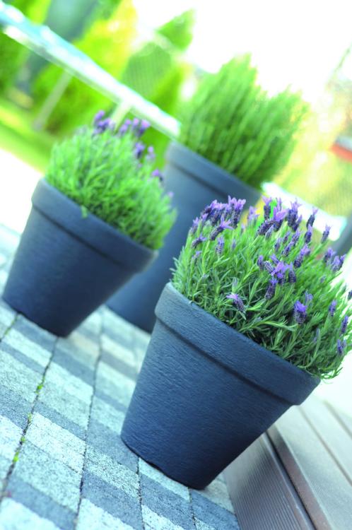 Doniczka okrągła Classic DBC25