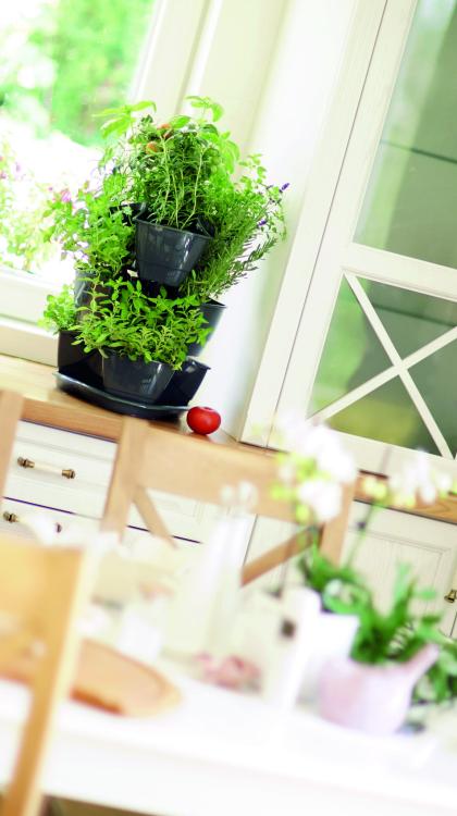 Doniczka na zioła potrójna Coubi DKN3003