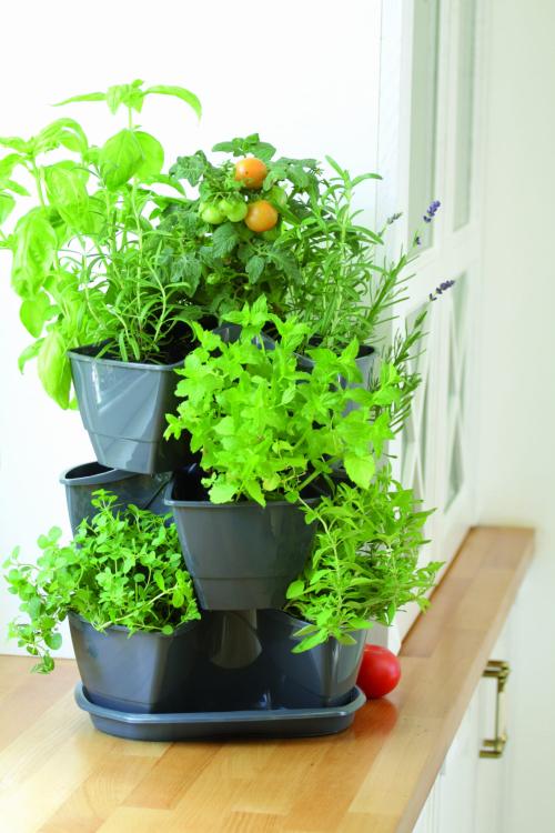 Doniczka na zioła potrójna Coubi DKN3003