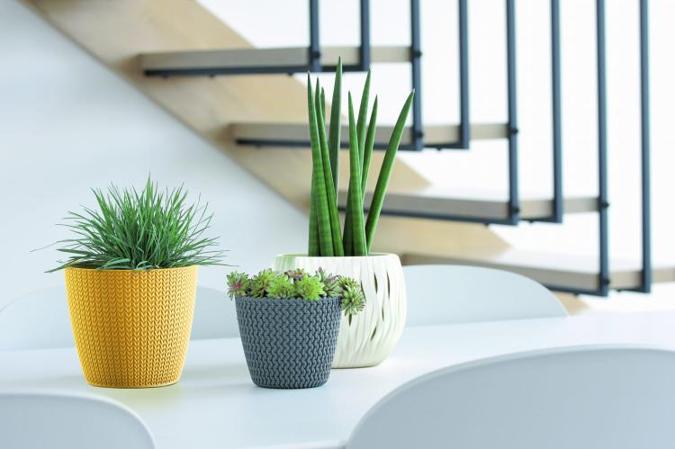 Doniczka okrągła Wheaty DWH220