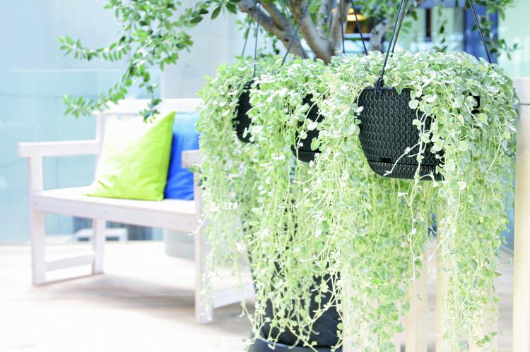 Doniczka wisząca Splofy DSPW230