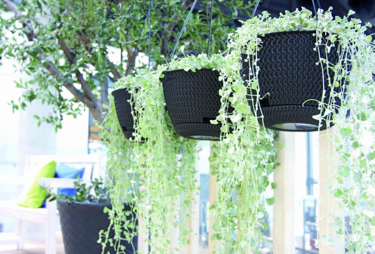 Doniczka wisząca Splofy DSPW270S