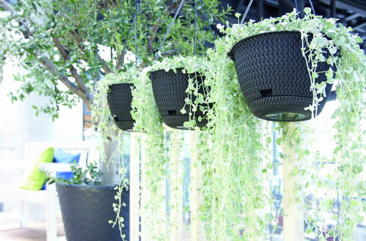 Doniczka wisząca Splofy DSPW230S