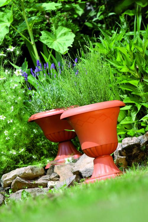 Gazon niski Atena GPN3 Terakota