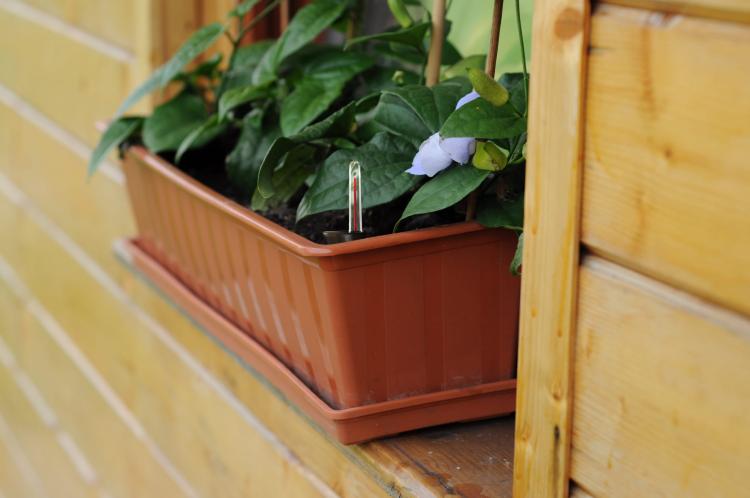 Skrzynka balkonowa z nawadnianiem IS6CAN