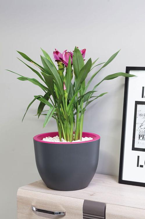 Doniczka dwukolorowa Muna 35