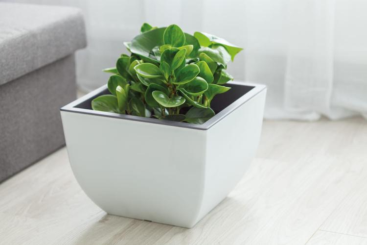 Doniczka kwadratowa dwukolorowa Muna 40