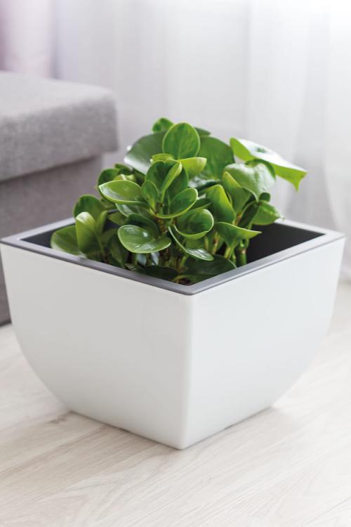 Doniczka kwadratowa dwukolorowa Muna 30