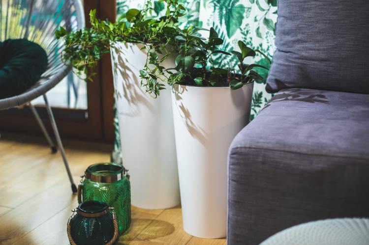 Doniczka Tubus Slim DTUS250 – biała, aranżacja domowa z roślinnością, styl naturalny