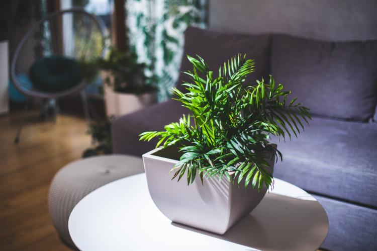 Doniczka kwadratowa Muna 35 - kolor beton, szary