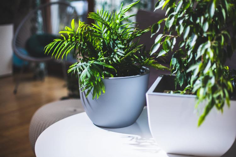 Doniczka kwadratowa dwukolorowa Muna 40 Biały+Be