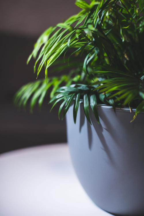 Doniczka okrągła Muna 35