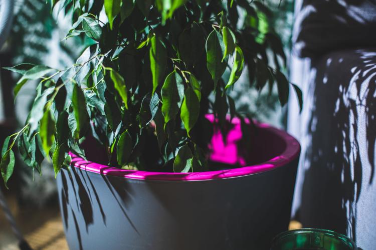 Doniczka dwukolorowa Muna 40