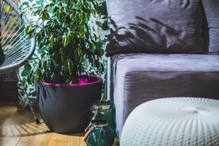 Doniczka dwukolorowa Muna 40