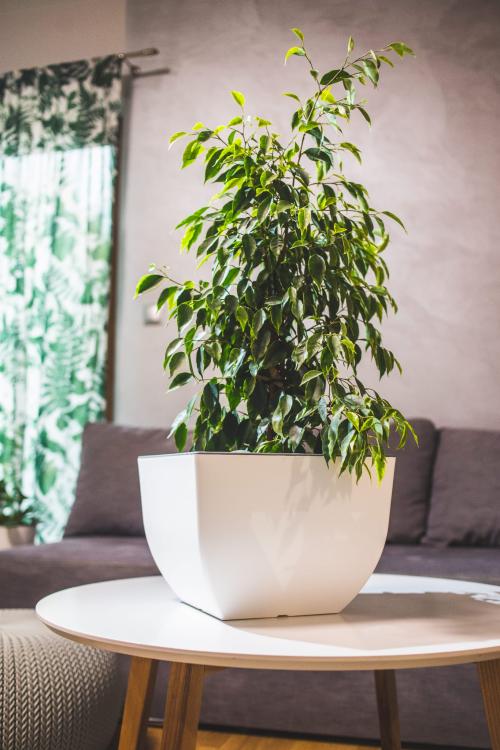 Doniczka kwadratowa dwukolorowa Muna 30