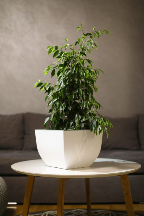 Doniczka kwadratowa dwukolorowa Muna 30