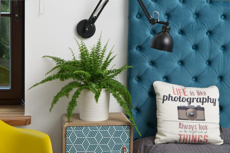 MALWA DŁUTO kremowy nr 74_1.jpg