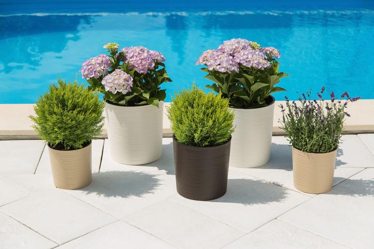 MALWA DŁUTO mix(1).jpg