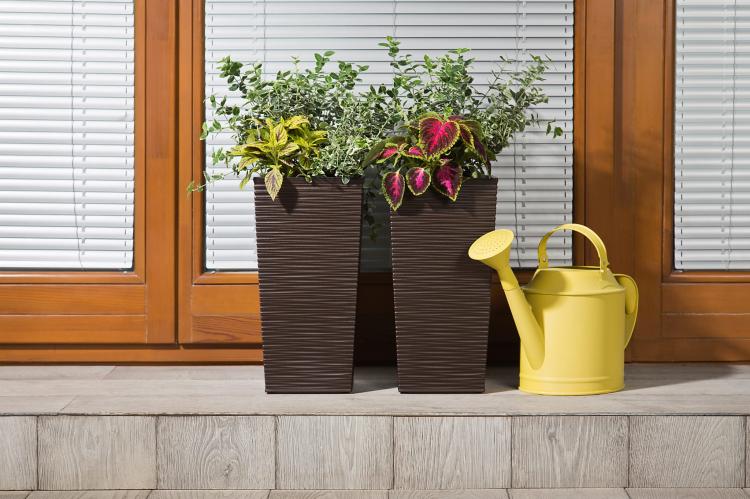 FINEZJA DŁUTO MOKKA