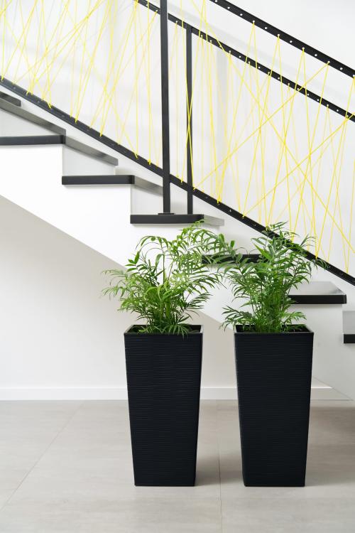 FINEZJA DŁUTO czarna