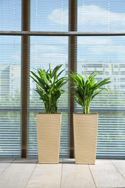 FINEZJA DŁUTO 1 CAPPUCCINO